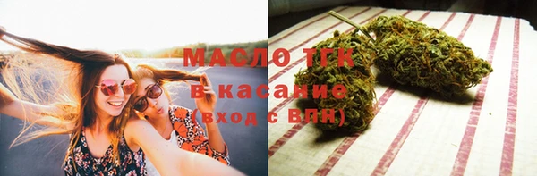 индика Переславль-Залесский