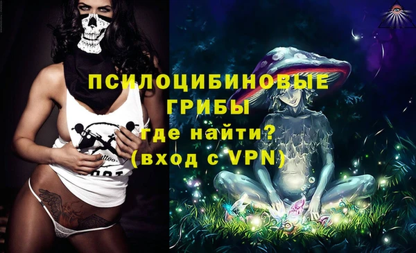 эйфоретик Пересвет