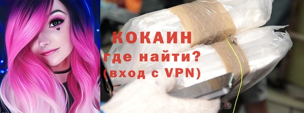 индика Переславль-Залесский