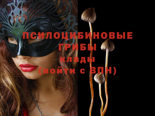 бошки Пестово
