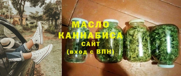 индика Переславль-Залесский