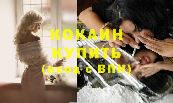 эйфоретик Пересвет