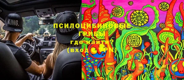 индика Переславль-Залесский