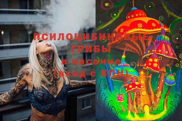 бошки Пестово