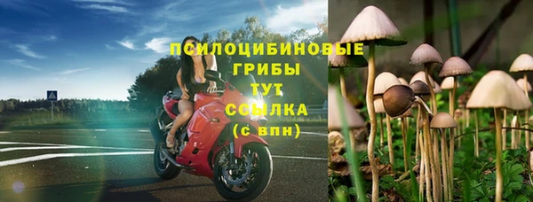 бошки Пестово