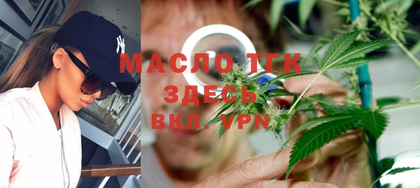 индика Переславль-Залесский