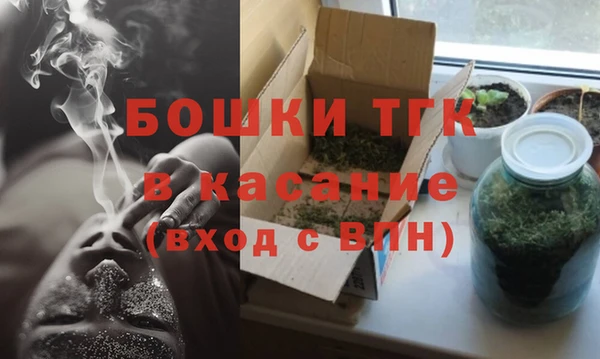 эйфоретик Пересвет