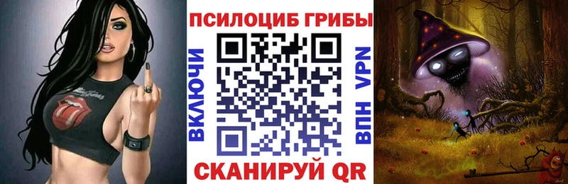 Псилоцибиновые грибы GOLDEN TEACHER  Купить закладки  Солигалич 